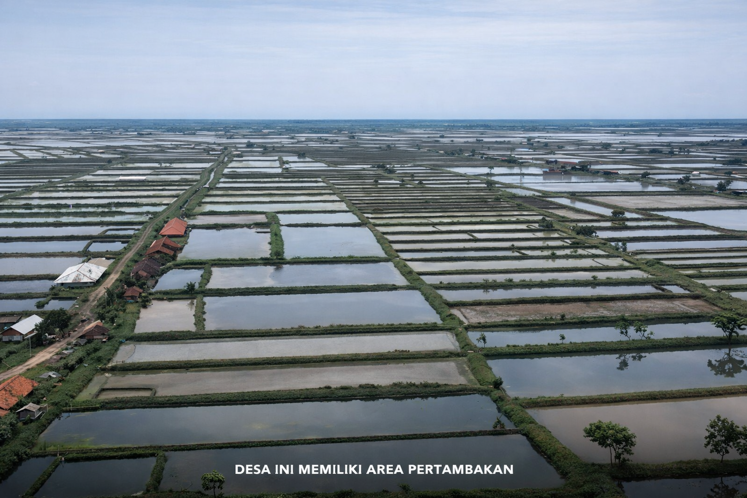 Pertambakan